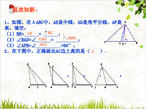 数学八年级上册PPT课件三角形的稳定性(人教版)