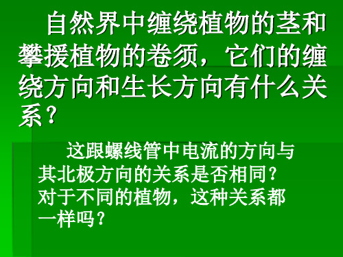 植物的手性
