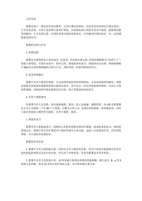 生活养生-紫薯功效作用和禁忌