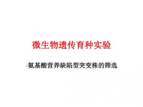 微生物遗传育种实验(精)