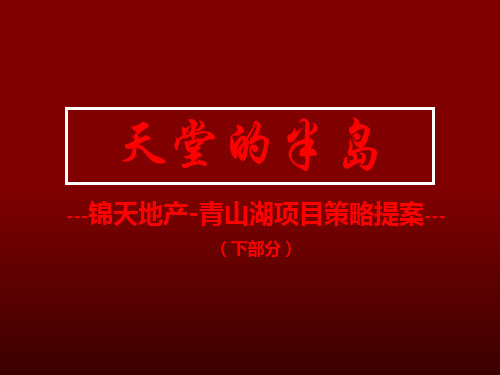浙江杭州青山湖锦天地产的项目的策略提案