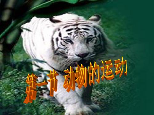 第一节动物的运动