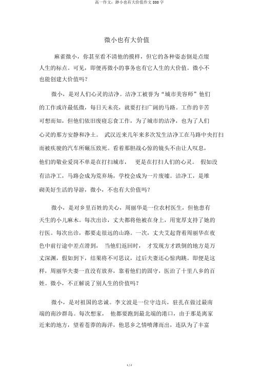 高一作文：渺小也有大价值作文800字