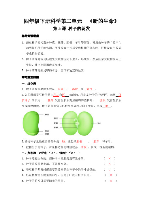 四年级下册科学第二单元《新的生命》第5课 种子的萌发