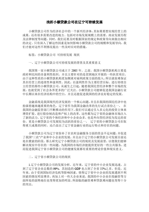 浅析小额贷款公司在辽宁可持续发展