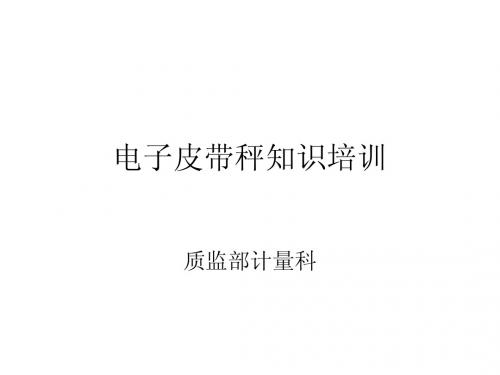 电子皮带秤知识培训