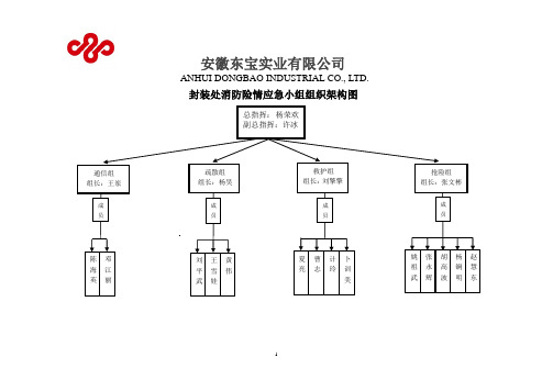消防急救小组组织架构图