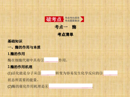 2020年高考课标版高考生物    专题4 酶与ATP