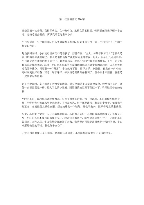 第一次养猫作文600字