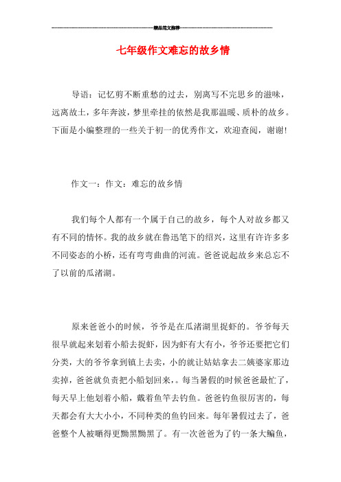 七年级作文难忘的故乡情