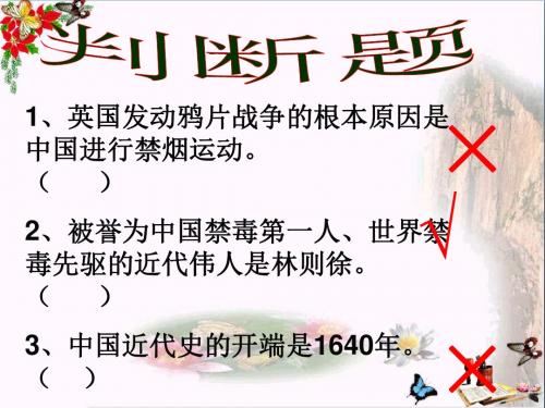 劫难中的抗争PPT优秀课件9 北师大版