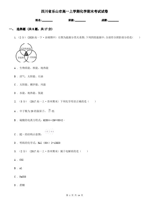 四川省乐山市高一上学期化学期末考试试卷