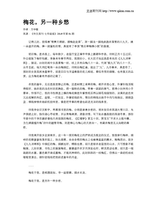 梅花,另一种乡愁