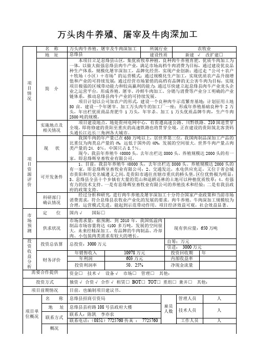 招商引资项目报送标准表格