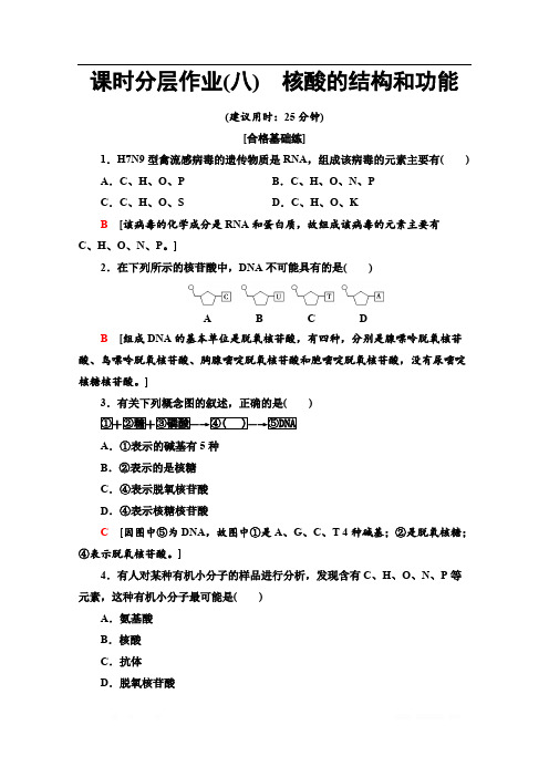 2019-2020学年中图版生物必修一课时分层作业：8 核酸的结构和功能 