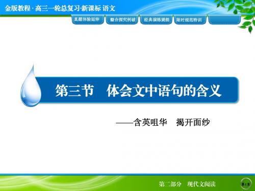 15年度-金版教程：新课标高三一轮总复习-语文2-3-3