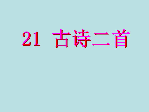 语文版三年级上册第六单元《古诗二首》《墨梅》《江雪》课件ppt