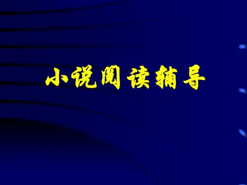 高考复习小说阅读辅导PPT课件