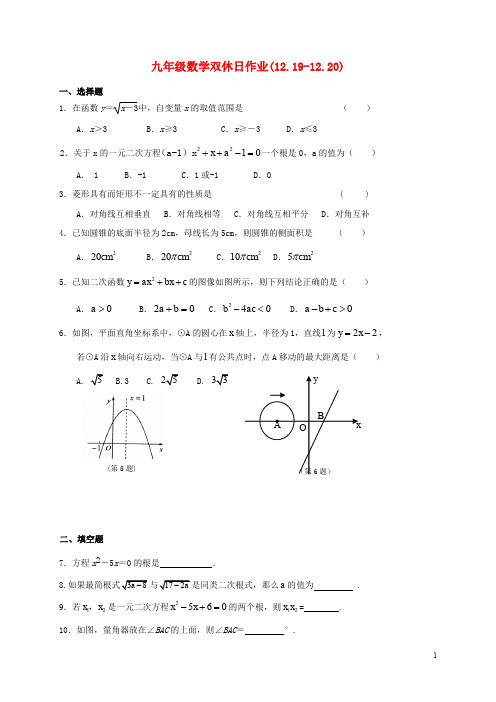 江苏省靖江市新港城初级中学九年级数学双休日作业(12.1912.20)(无答案) 苏科版