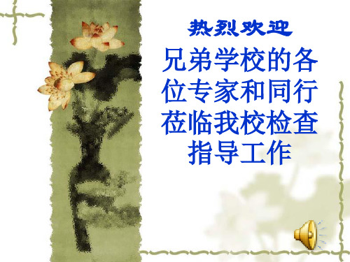 综合性学习 材料探究题概要