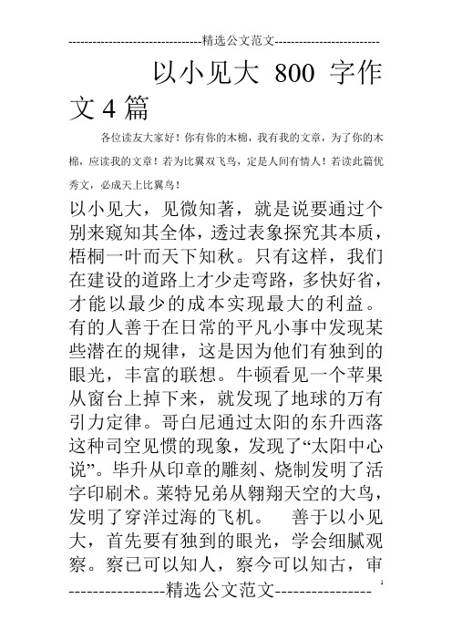 以小见大800字作文4篇