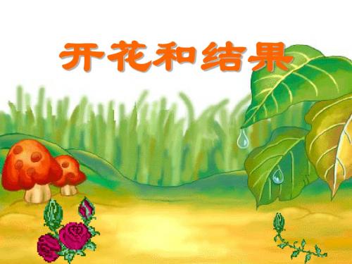 开花和结果