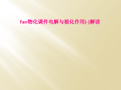 Fan物化课件电解与极化作用解读