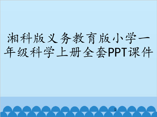 湘科版义务教育版小学一年级科学上册全套PPT课件