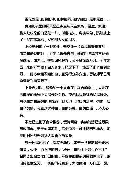 雪之情思