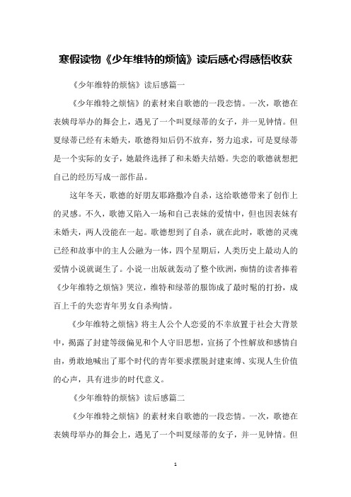 寒假读物《少年维特的烦恼》读后感心得感悟收获