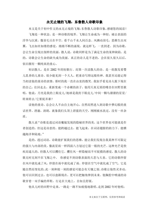 永无止境的飞翔：东鲁散人诗歌印象_初中作文
