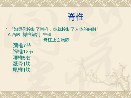 肩颈专业知识课件