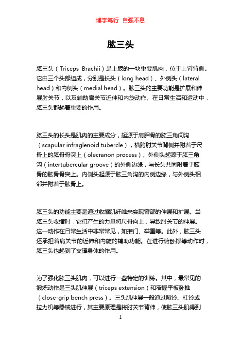 肱三头_精品文档