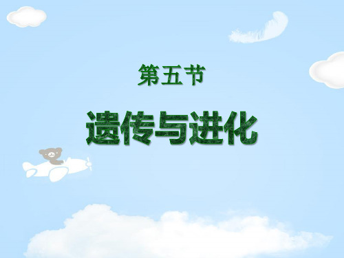 《遗传与进化》PPT【优质课件】
