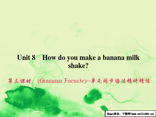 第三课时_(grammar_focus-3c)—单元同步语法精讲精练