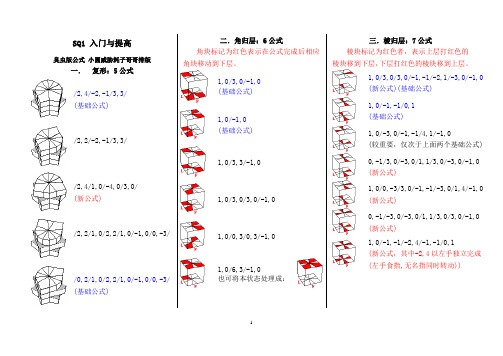 Square-1魔方入门与提高(臭虫)