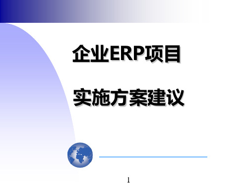 企业ERP项目实施方案建议