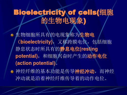生物电现象