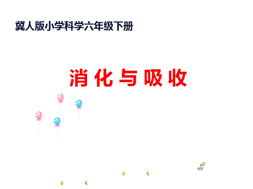 六年级科学下册_5消化与吸收60冀人版(15张ppt)标准课件