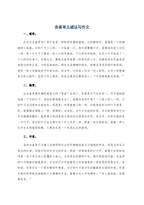 含羞草五感法写作文