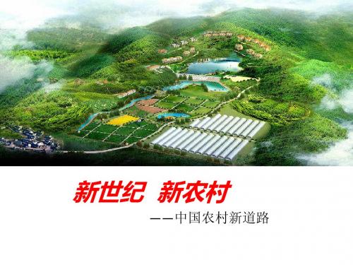 新世纪  新农村.ppt