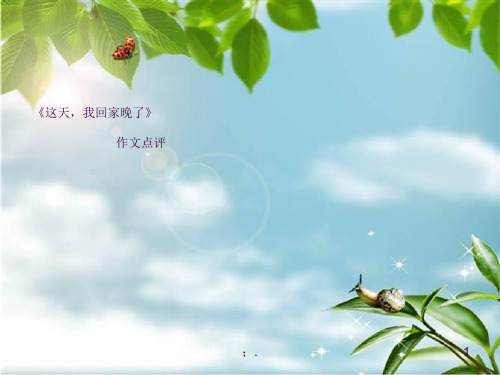 作文《这天,我回家晚了》ppt课件