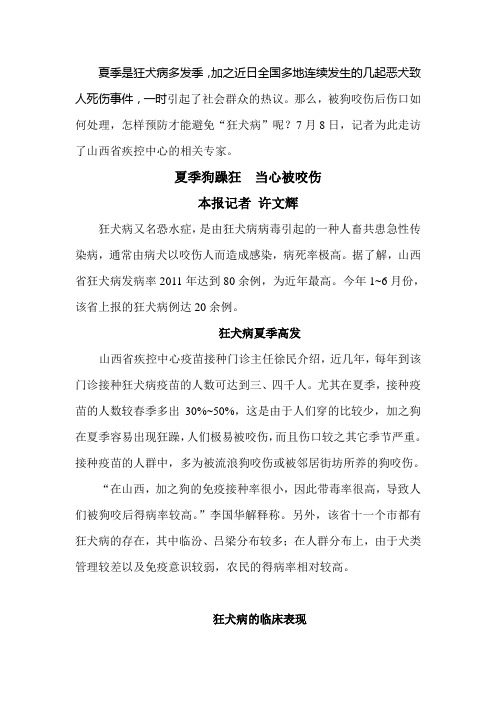 夏季狗躁狂  当心被咬伤
