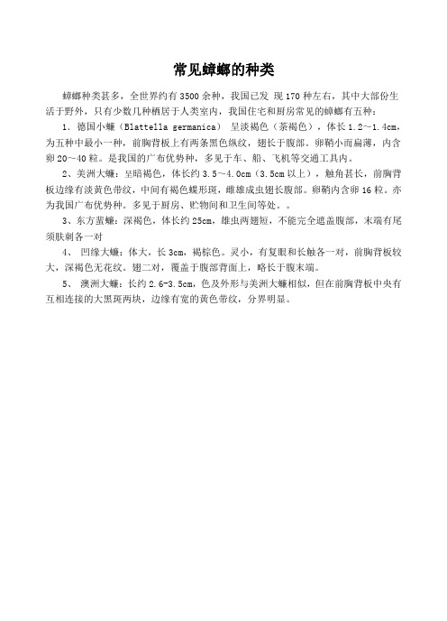 常见的蟑螂种类