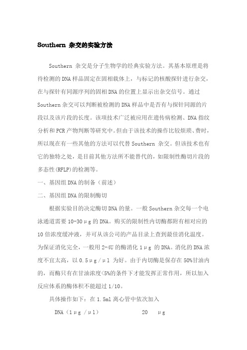 Southern blotting实验方法