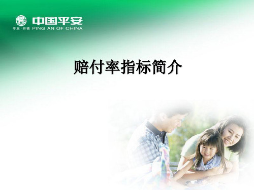 赔付率指标简介ppt课件