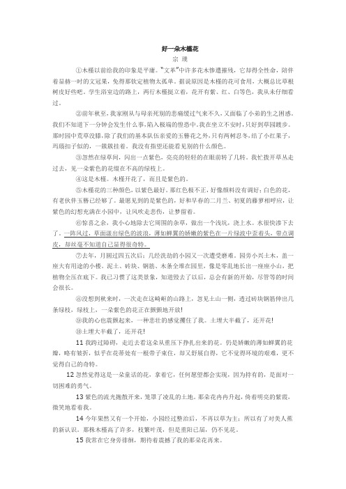 (部编)初中语文人教2011课标版七年级下册《紫藤萝瀑布》对比阅读《好一朵木槿花》