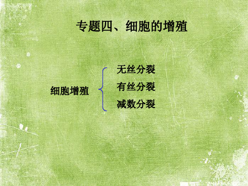 细胞增殖课件精品文档