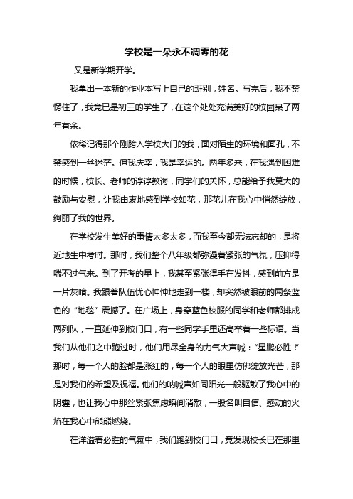 初三作文：学校是一朵永不凋零的花作文700字