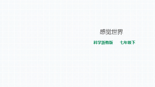 浙教版科学七下 2.1 感觉世界(第1课时) 课件